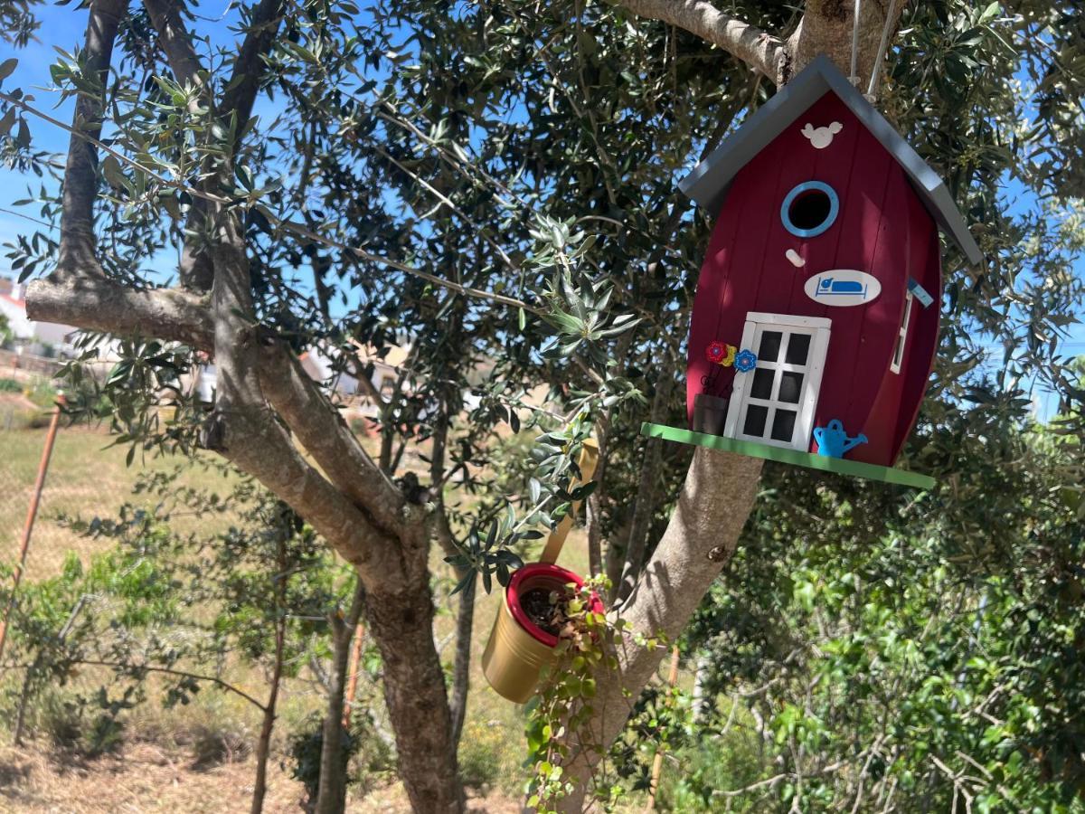 Refugio Dos Sapinhos Villa Silves Eksteriør billede